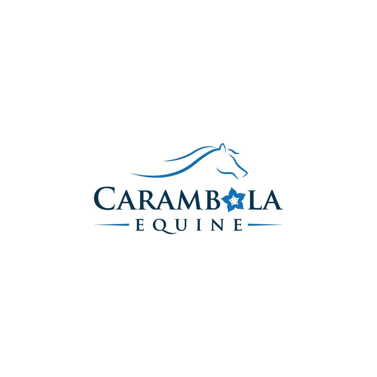 I will do one of a kind equestrian equine horse business logo design