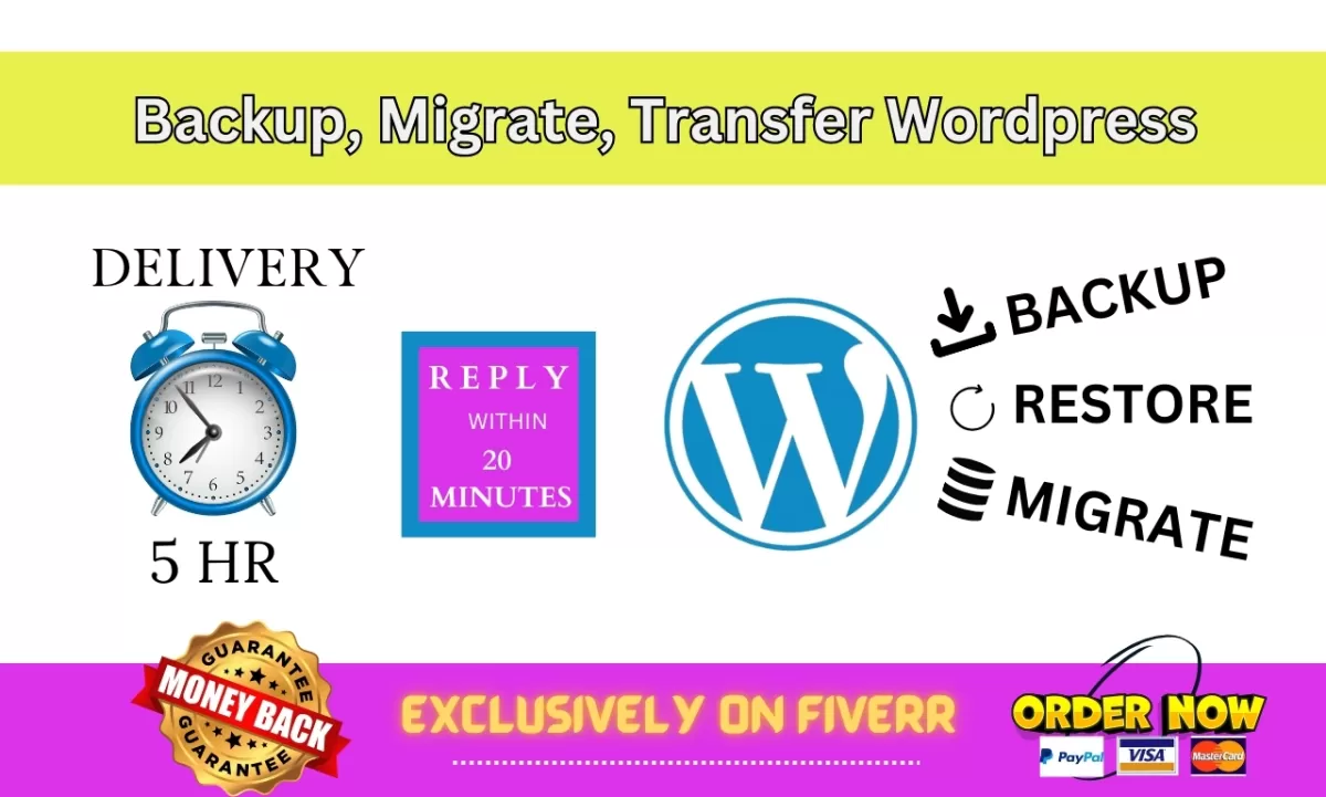 I will backup, migration, transfer big wordpress website in 2 hours