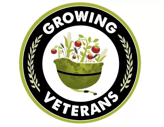 I will design eye catchy veterans administration logo with free source files