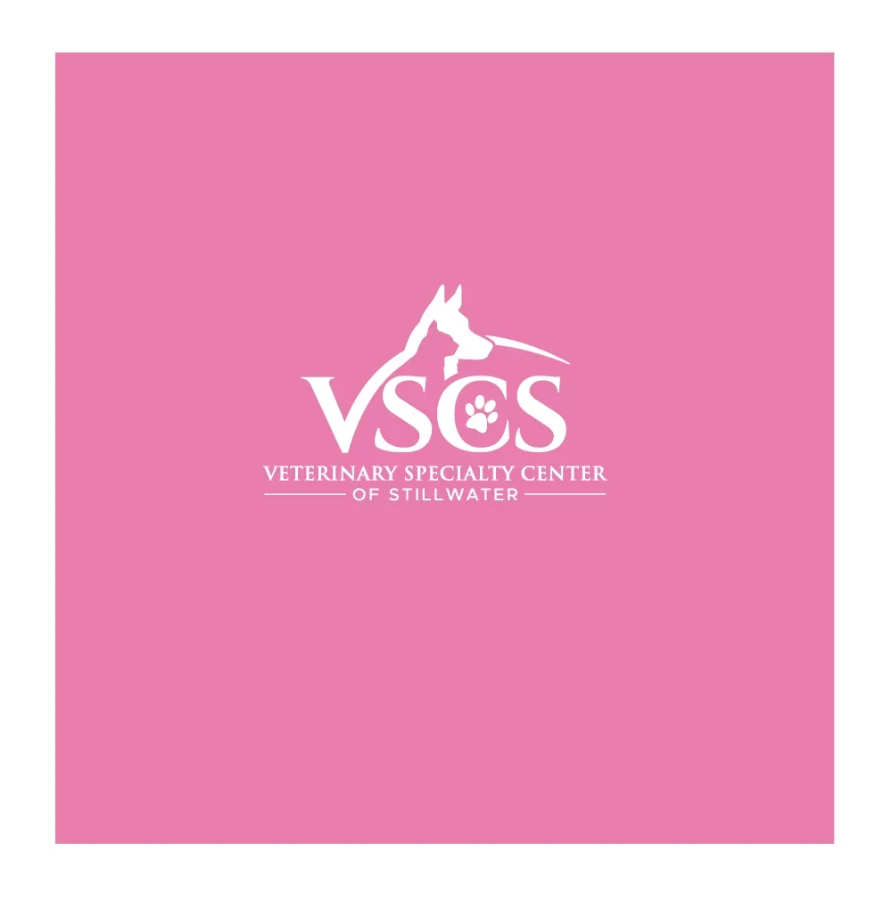 I will do professional animal,veterinary logo design (1)