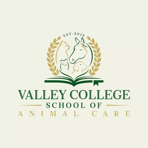 I will make educational logo for school college and university