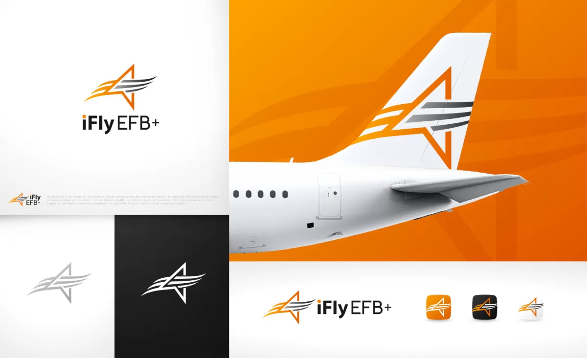  I well create wonderful aviation logo design