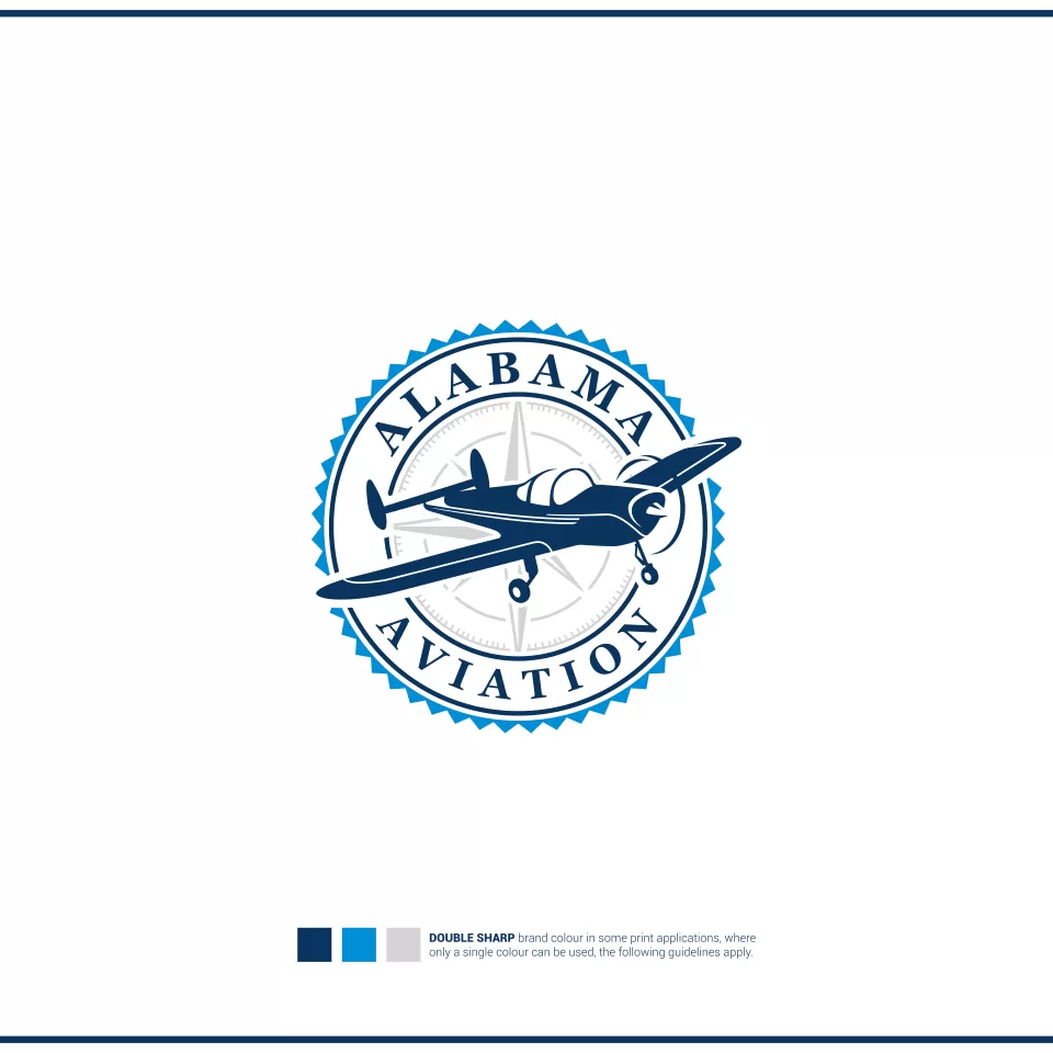  I well create wonderful aviation logo design