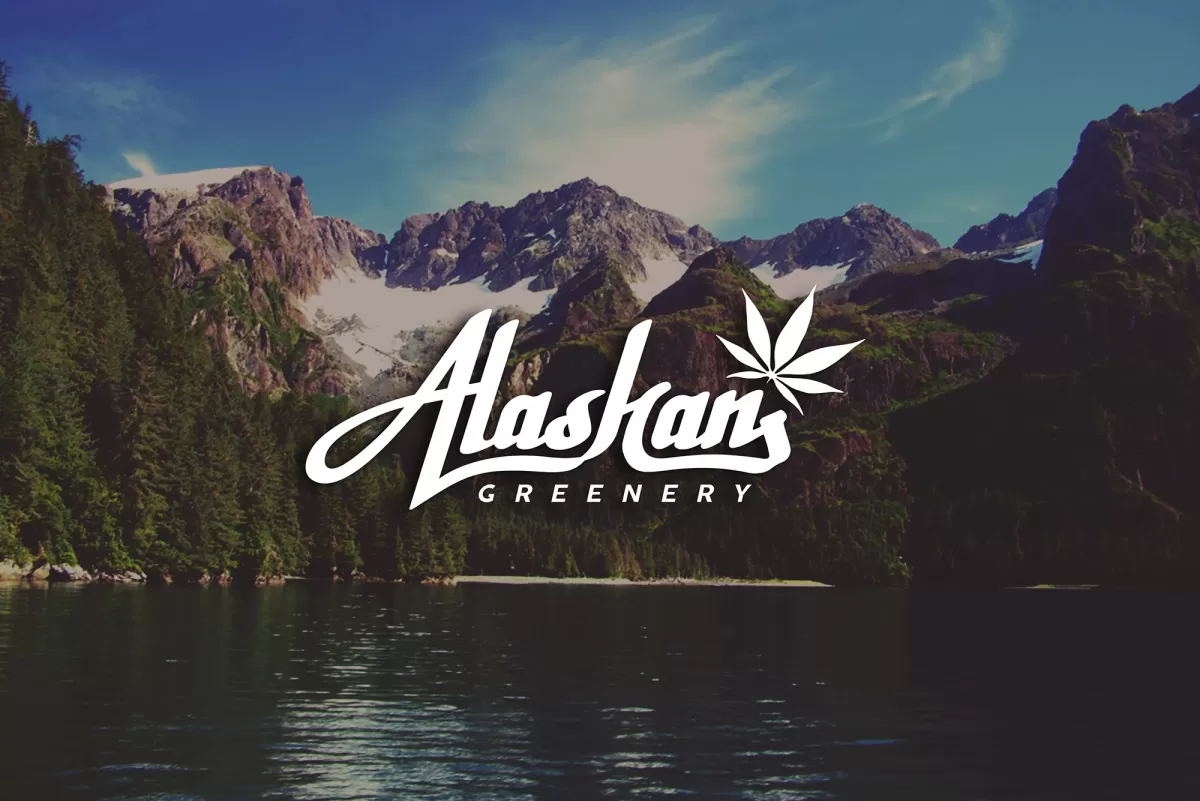 I will create an amazing marijuana logo design with express deliver