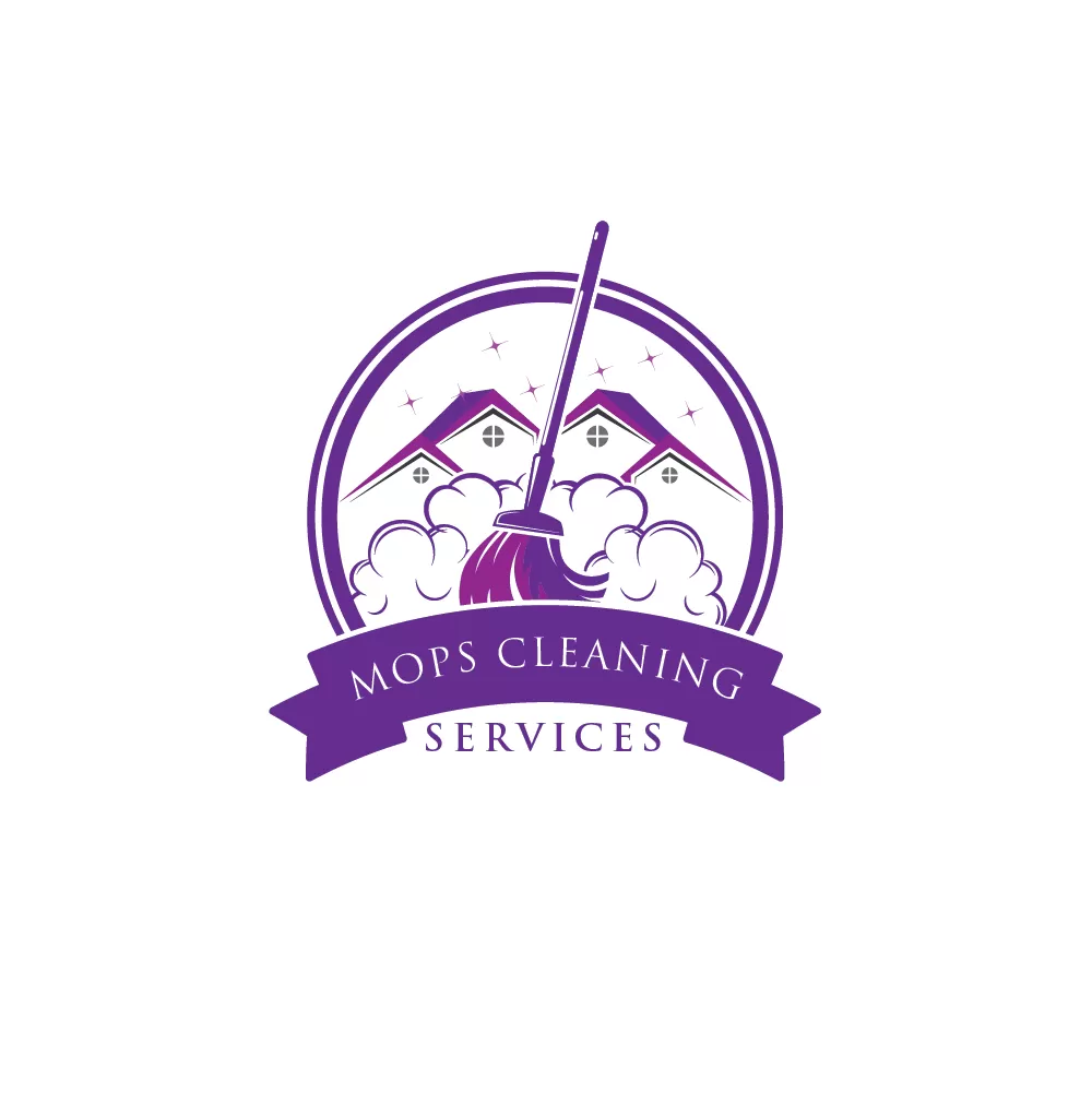 I will do professional cleaning pressure washing minimalist logo in 24 hours