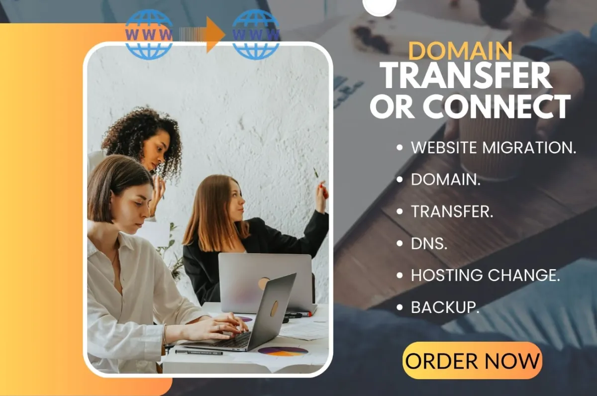 I will move, transfer or migrate wordpress websites new host or domain