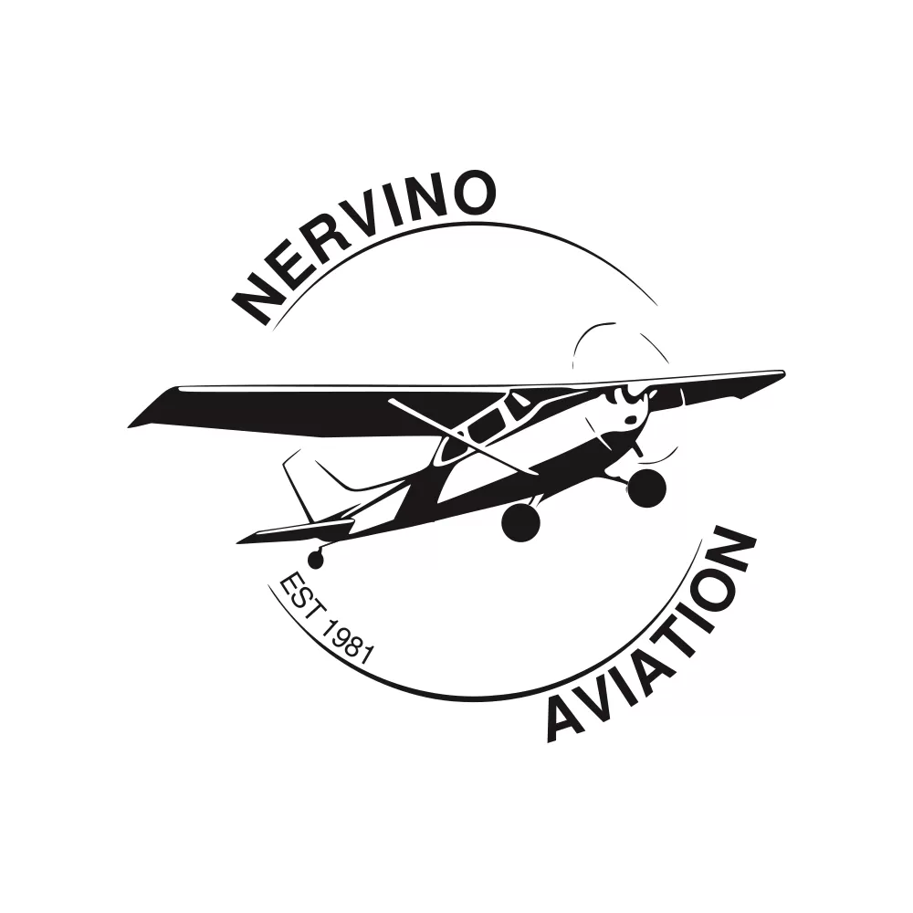 create wonderful aviation logo design