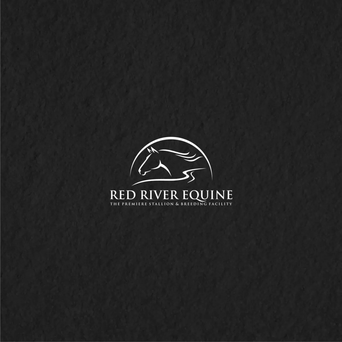 I will do one of a kind equestrian equine horse business logo design