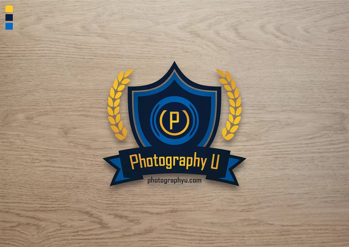 I will design coaching, education, university logo