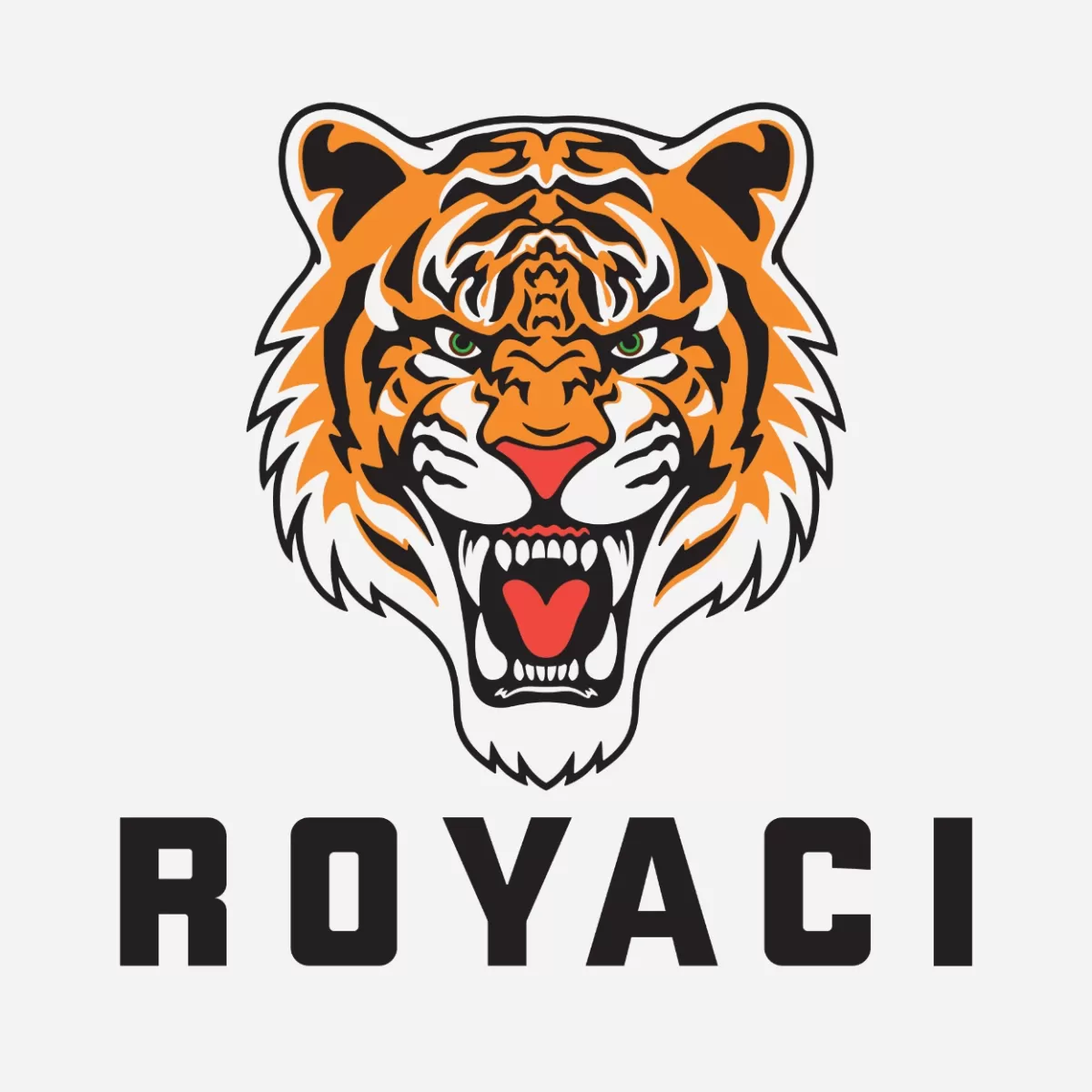 I will make an high quality tiger logo