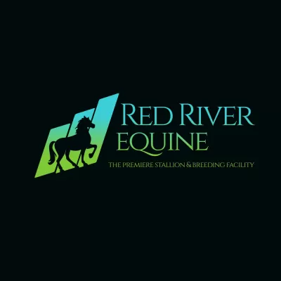 I will do one of a kind equestrian equine horse business logo design