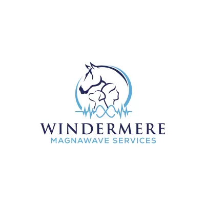 I will create fascinating equestrian, horse racing business logo