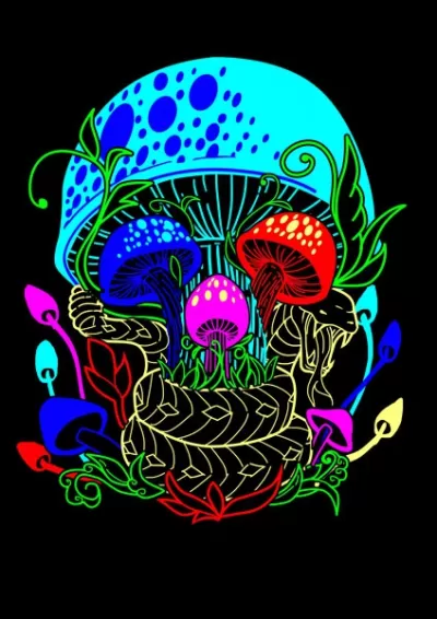 I will draw your trippy hand drawn logo design