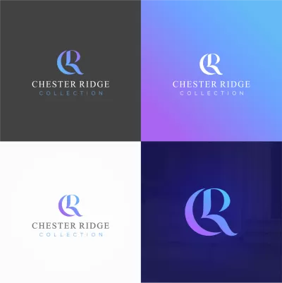 I will give a professional and high quality company logo design