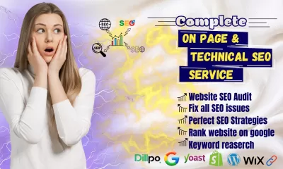 I well On page SEO and technical Optimization of wordpress, Dillpo