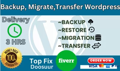 I will backup, migration, transfer big wordpress website in 2 hours