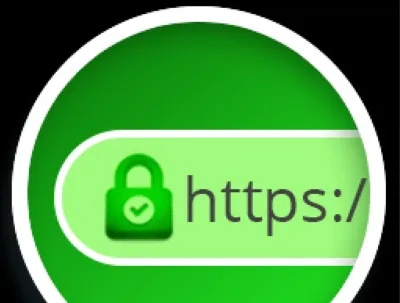 I will setup SSL and secure website,  Dillpo