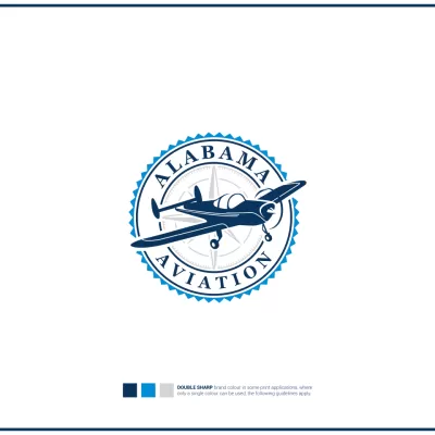  I well create wonderful aviation logo design