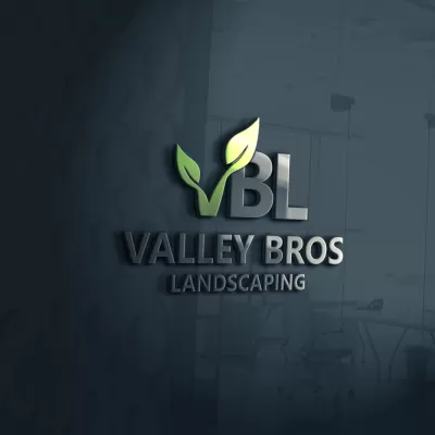 I will make an unique lawn care and landscaping logo