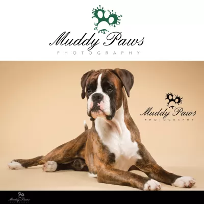 I will draw a dogs lover logo design for you