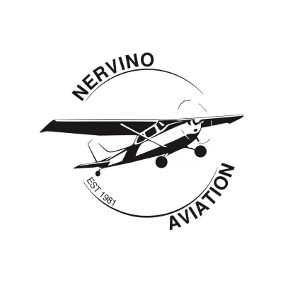 create wonderful aviation logo design