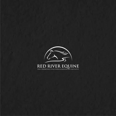 I will do one of a kind equestrian equine horse business logo design