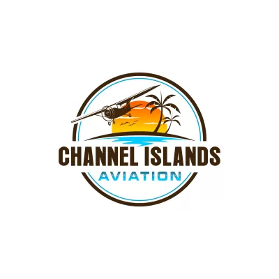 create wonderful aviation logo design