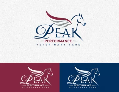 I will design wonderful horses health center logo for you