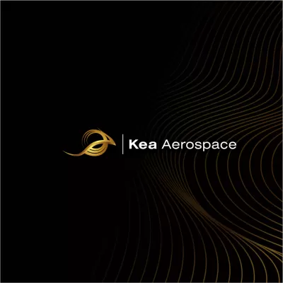 I will create an unique and beautiful aerospace logo for your business