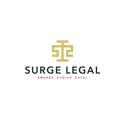 I will give an awesome law firm logo design with free source files