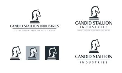 I will do attractive meaningful animal logo design