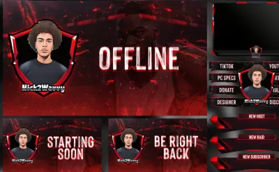 I will design custom animated kick, twitch overlay package, stream overlay, facecam