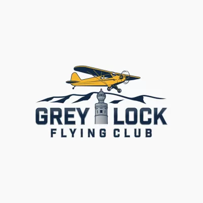  I well create wonderful aviation logo design