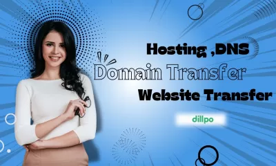 I will hosting, dns, domain transfer, website transfer, Dillpo