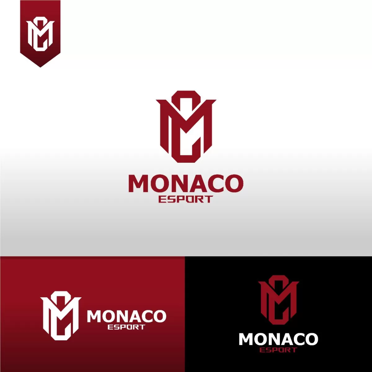 I will make e sport logo for game, sports, team, twitch, you tube