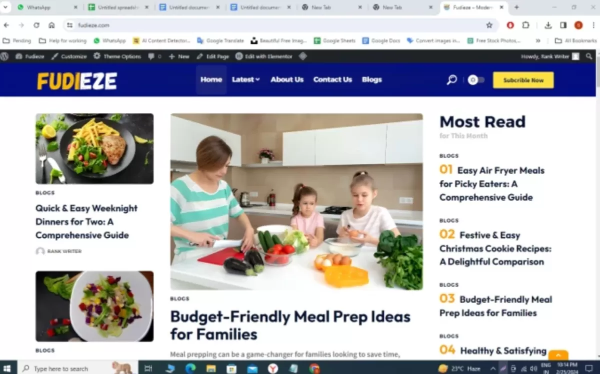I will setup professional wordpress automated website autoblog adsense approval