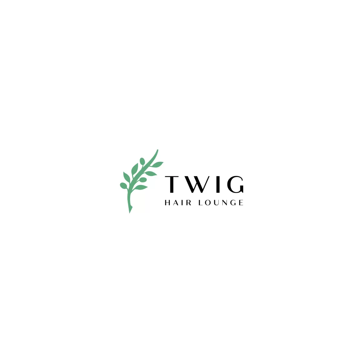 I will do barber shop, barber and beauty salon logo
