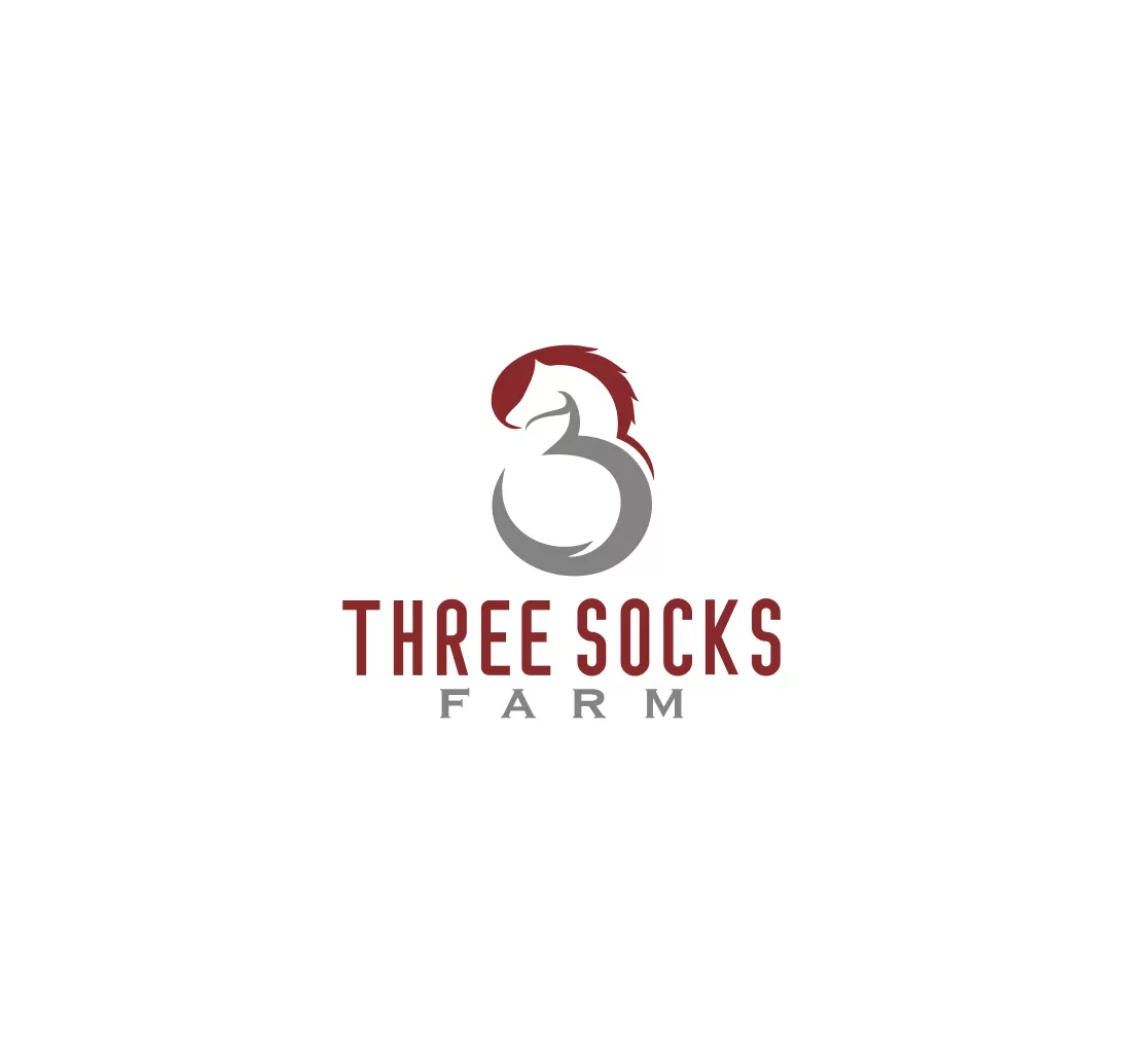 I will do a luxury equestrian equine horse business logo