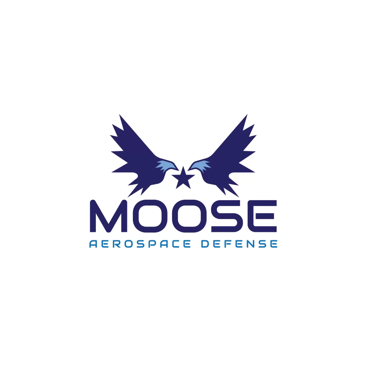  I  Well create an unique and beautiful aerospace logo for you