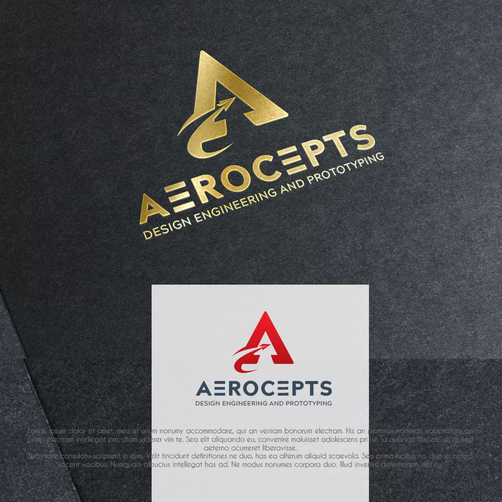  I  Well create an unique and beautiful aerospace logo for you
