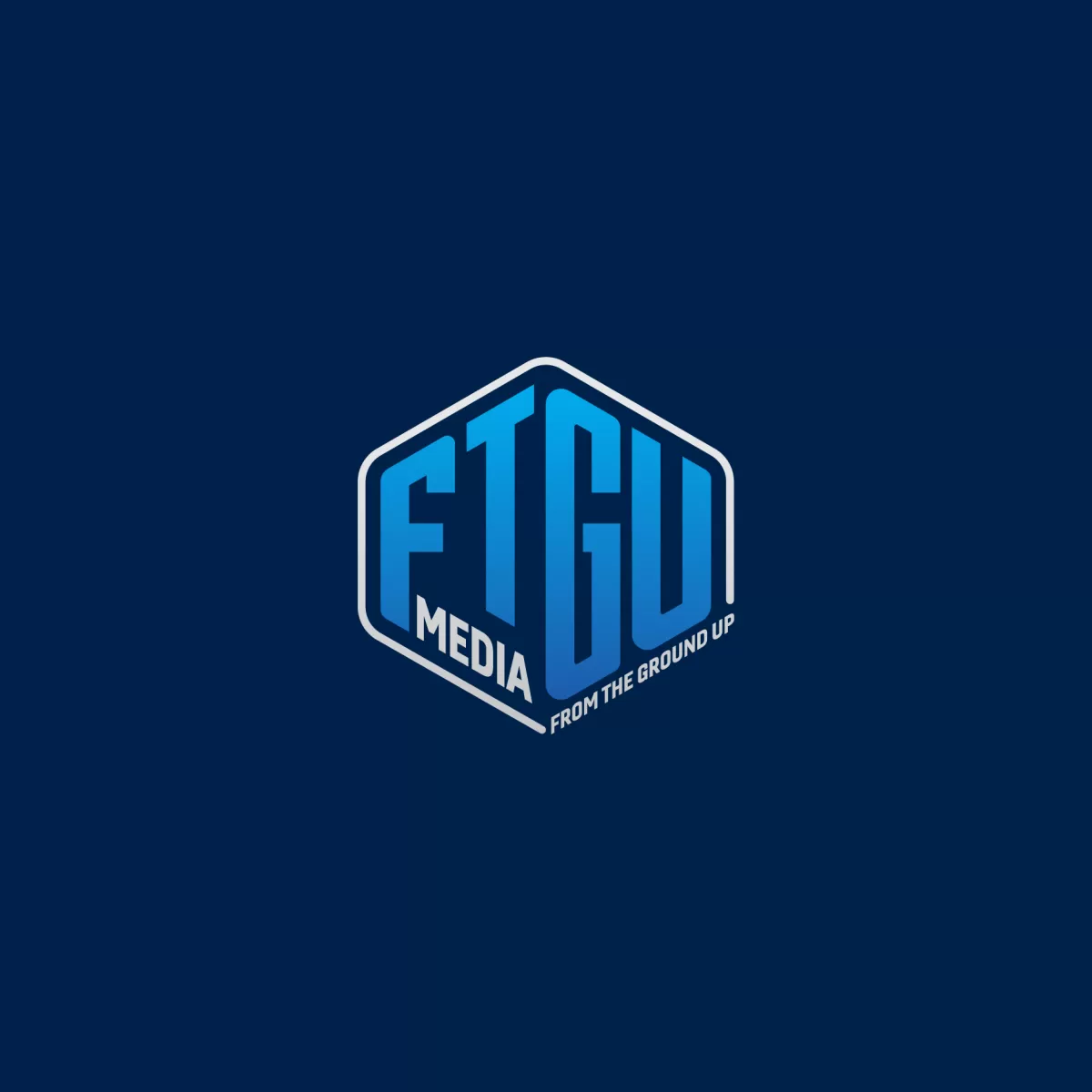I will make professional business and branding logo design