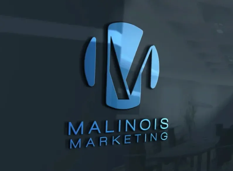 I will design modern 3d business or company logo design