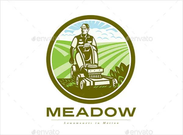 I will give a professional and high quality company logo design