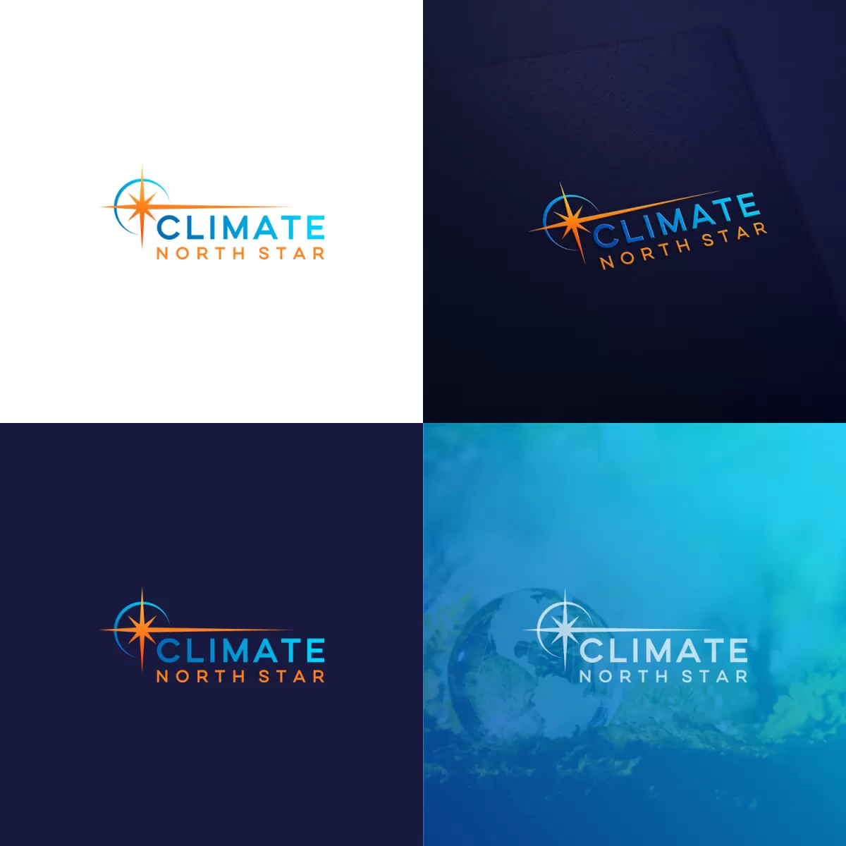 I will make stunting nonprofit, community and charity logo for 5 $
