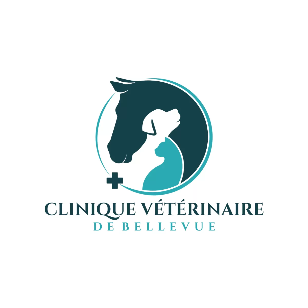 I will create modern health clinic pet care logo