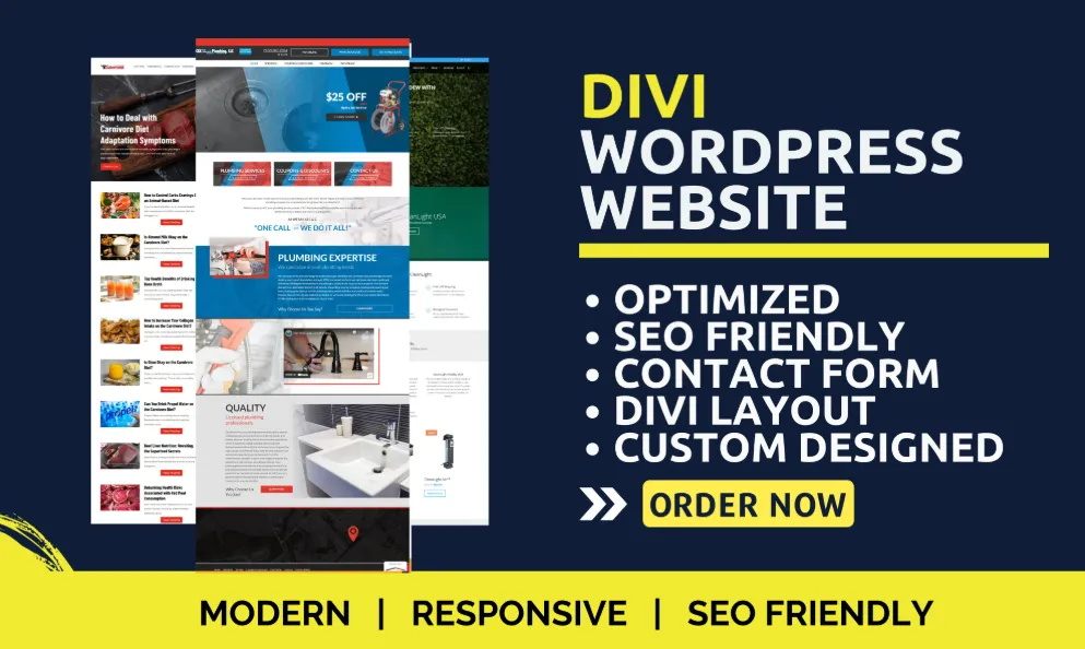 I will customize your wordpress website or develop a plugin
