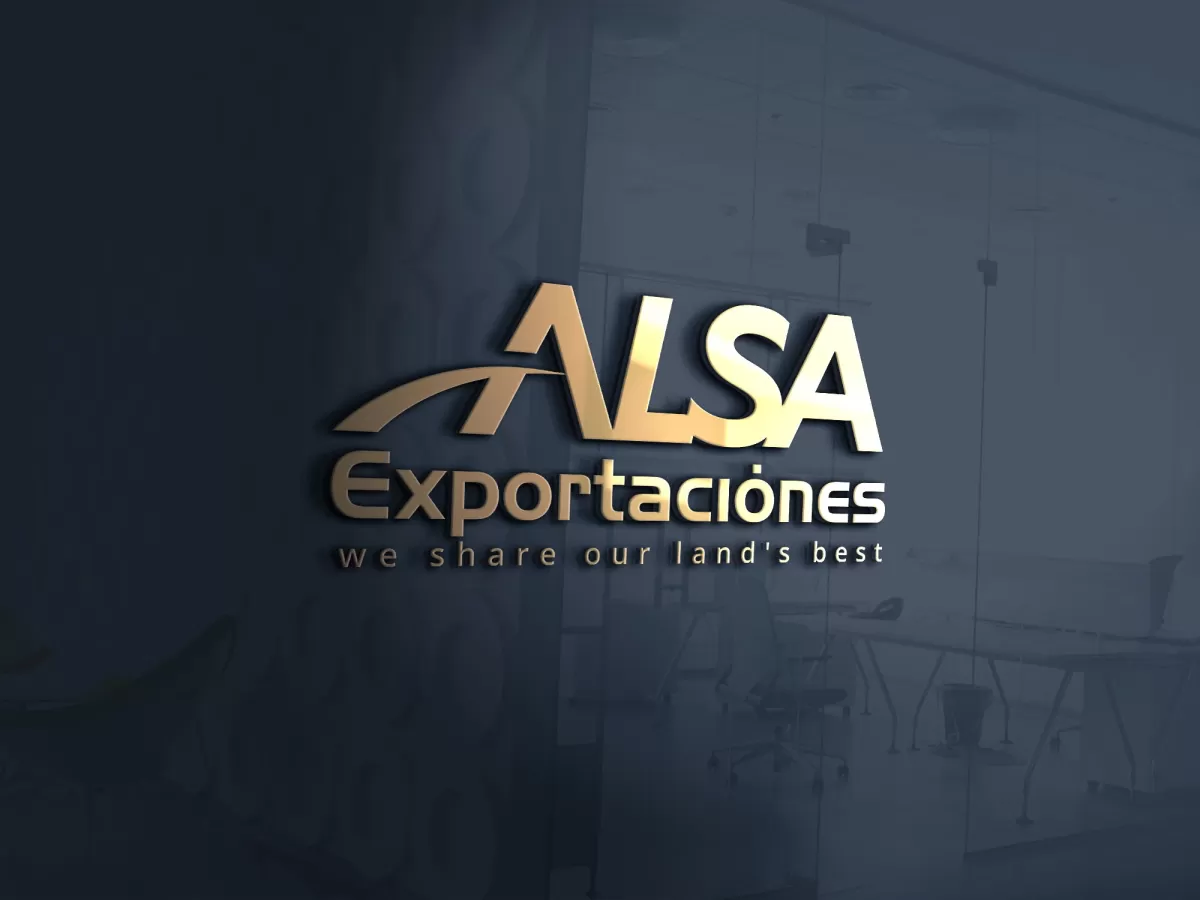 I will create an amazing export import logo for your business