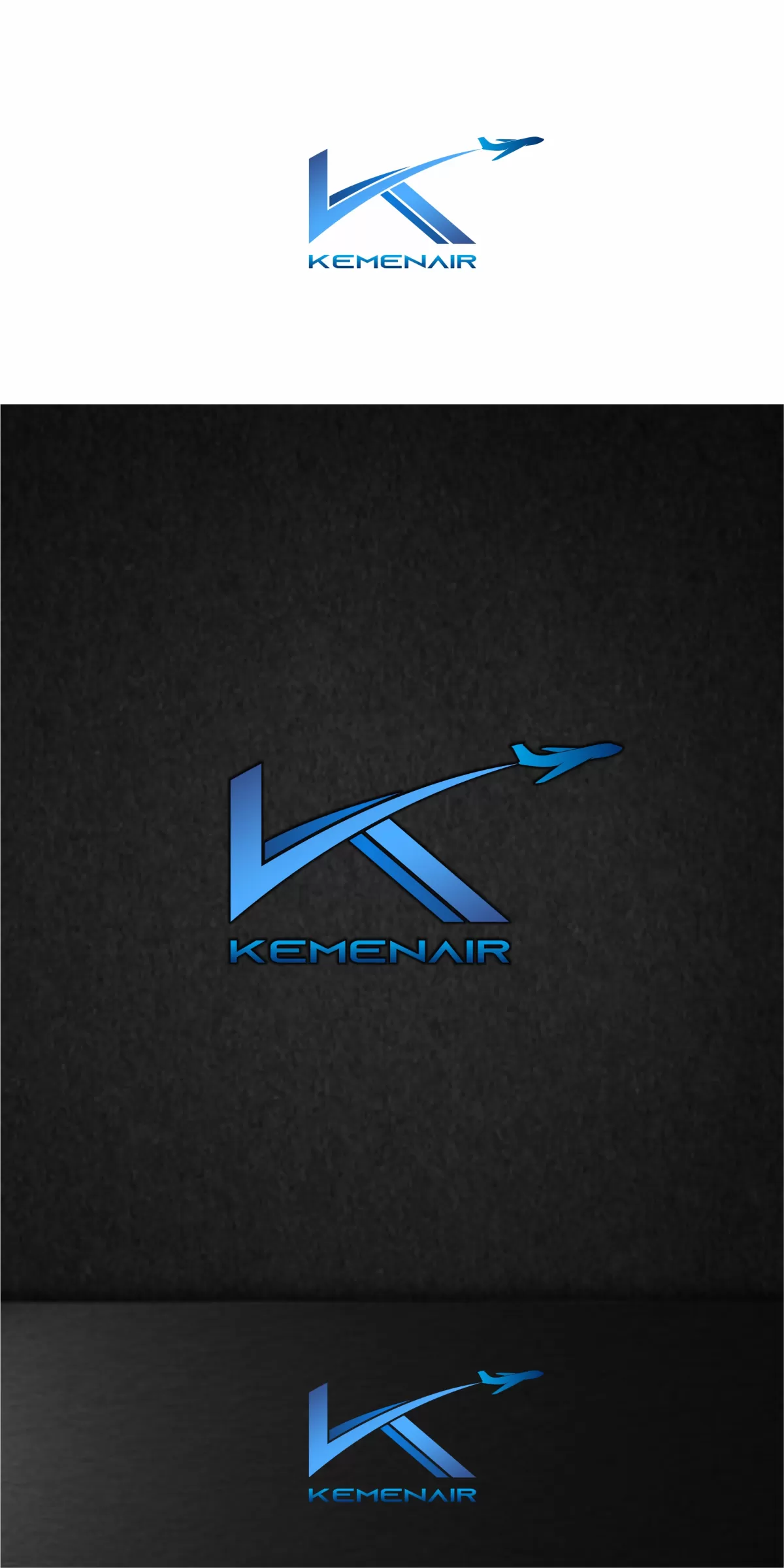 I will make gorgeous airline logo design for your company