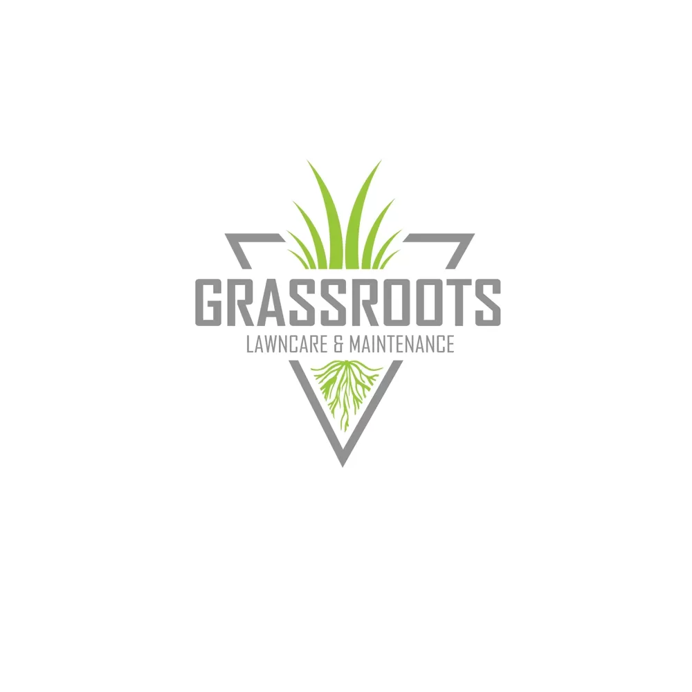 I will make organic natural agriculture landscape logo design