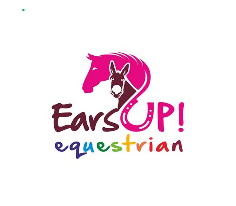 I will do minimalist custom line horse equine horse business logo